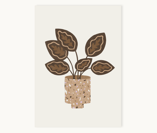 Poster Calathea